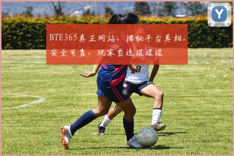BTE365真正网站，揭秘平台真相，安全可靠，玩家首选逗逗逗