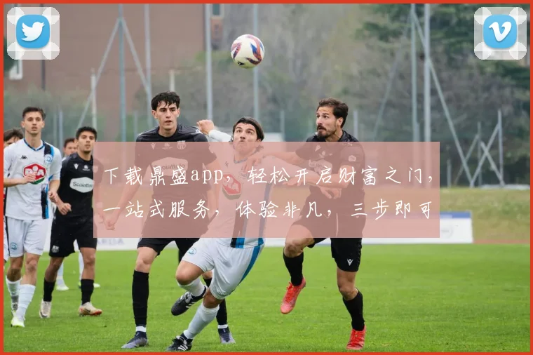 下载鼎盛app，轻松开启财富之门，一站式服务，体验非凡，三步即可拥有