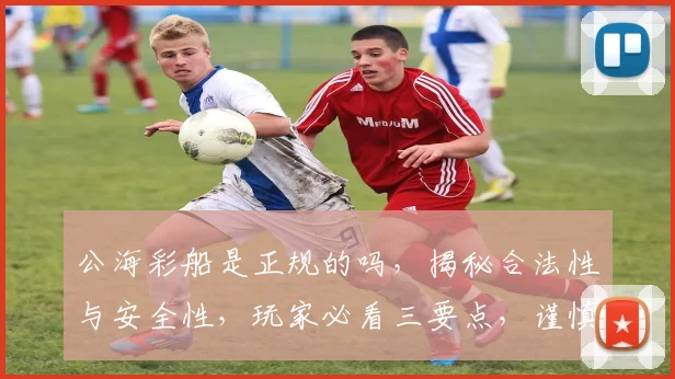 公海彩船是正规的吗，揭秘合法性与安全性，玩家必看三要点，谨慎选择